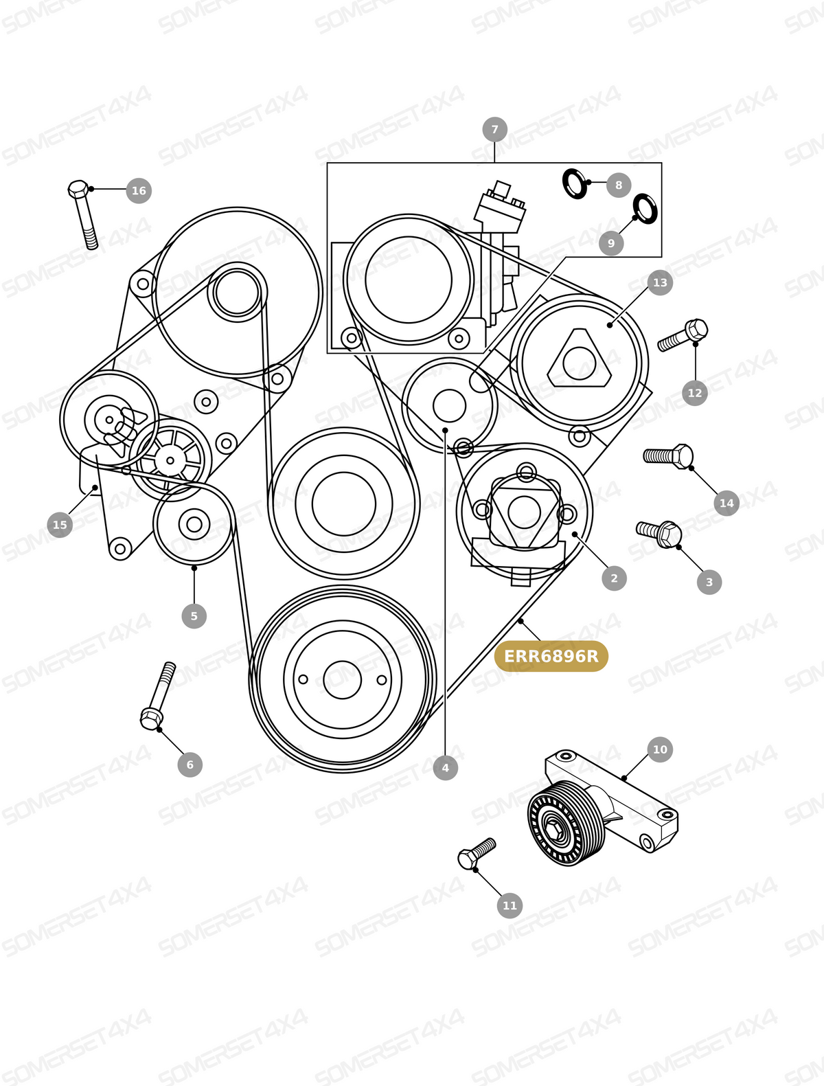 ERR6896R LAND ROVER - DRIVE BELT - POLYVEE From BRITPART