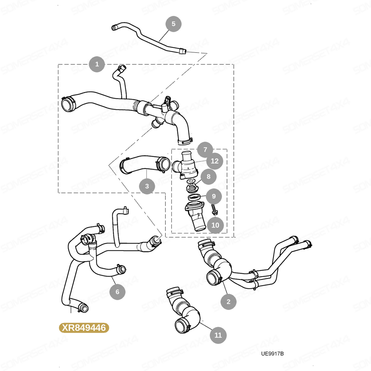 XR849446 GENUINE JAGUAR - HOSE-WATER