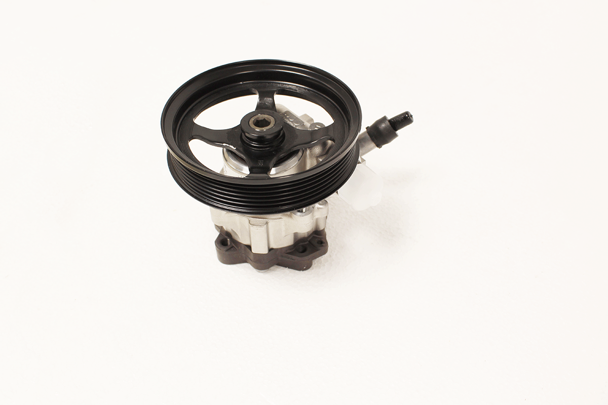 QVB500430 LAND ROVER - PUMP-PAS
