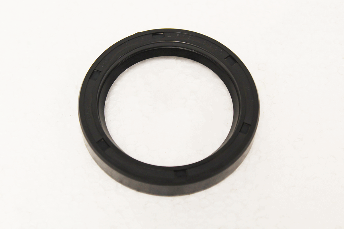 C30002-R OIL SEAL