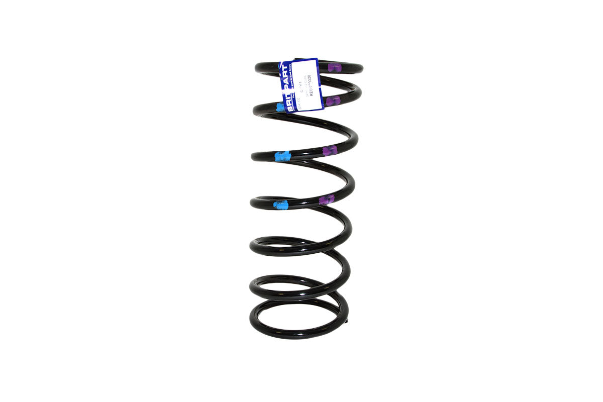 REB000320 SPRING - COIL
