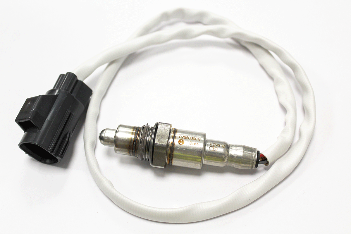 T2H48053-G O2 SENSOR