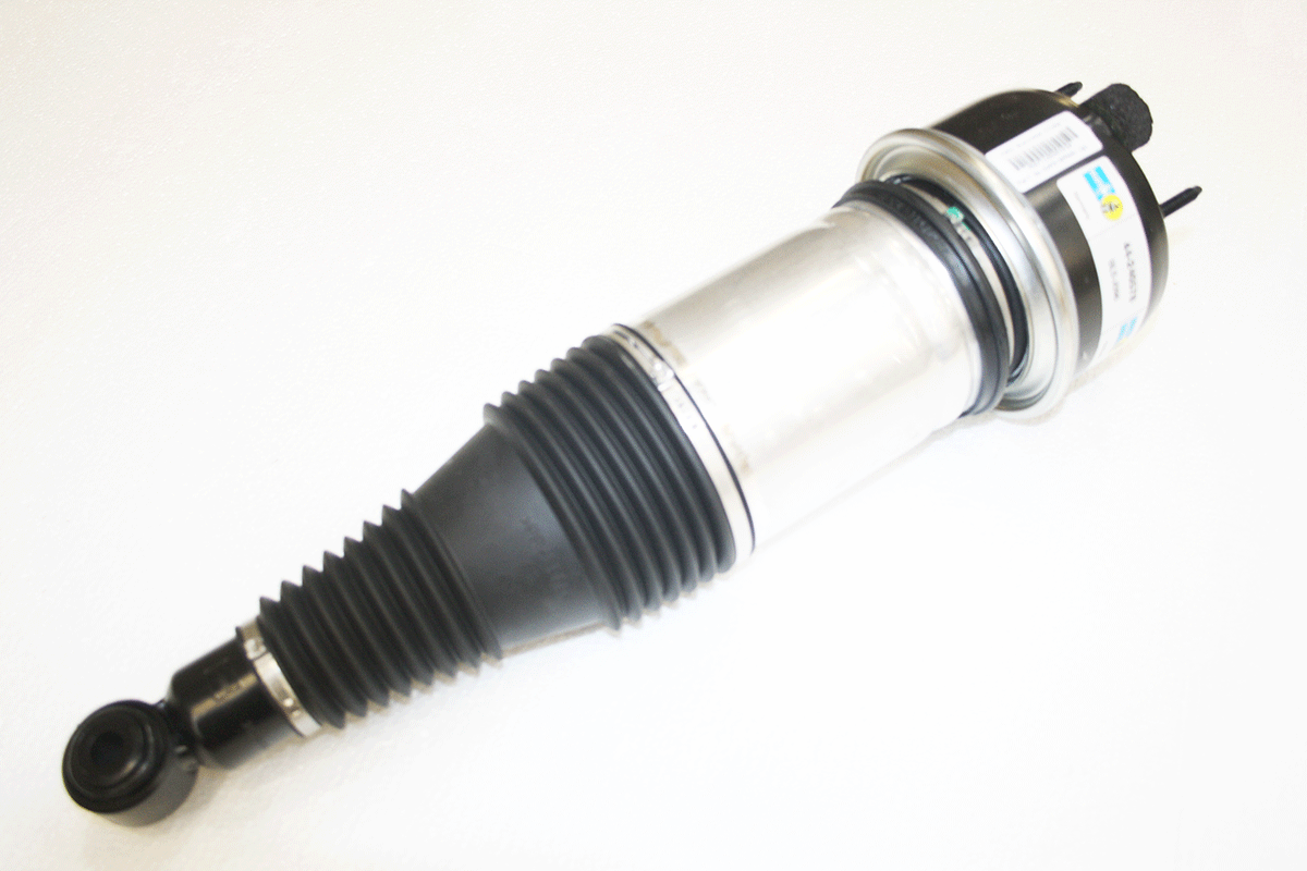 C2D18898-B AIR SPRING+DAMPER