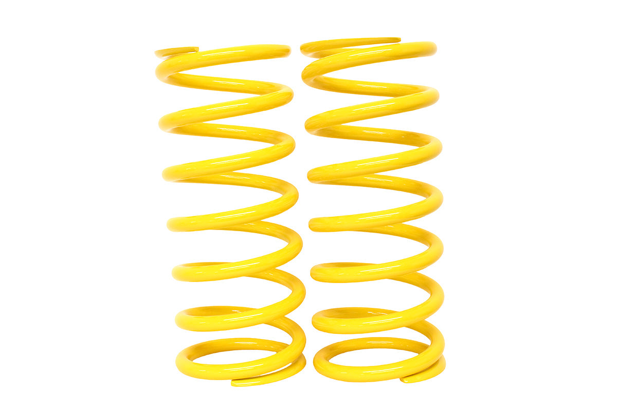 GA4279 SPRING KIT REAR HD 110
