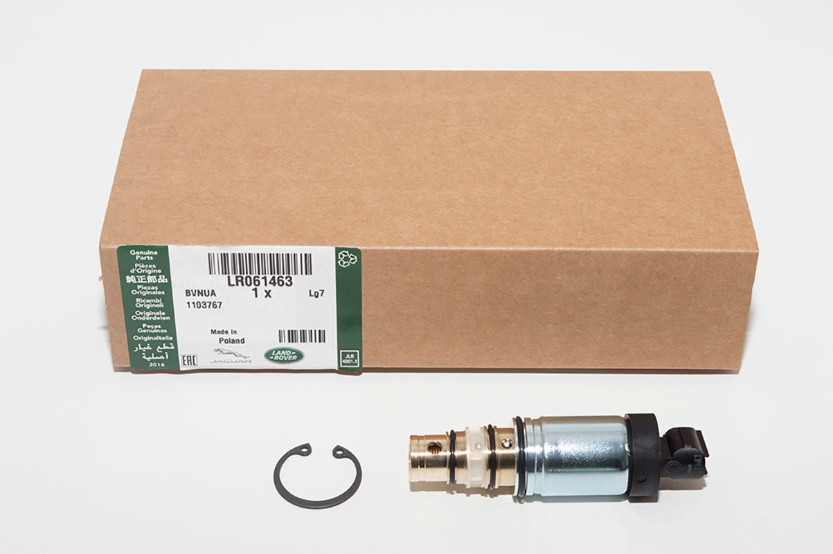 LR061463LR KIT - VALVE REPAIR