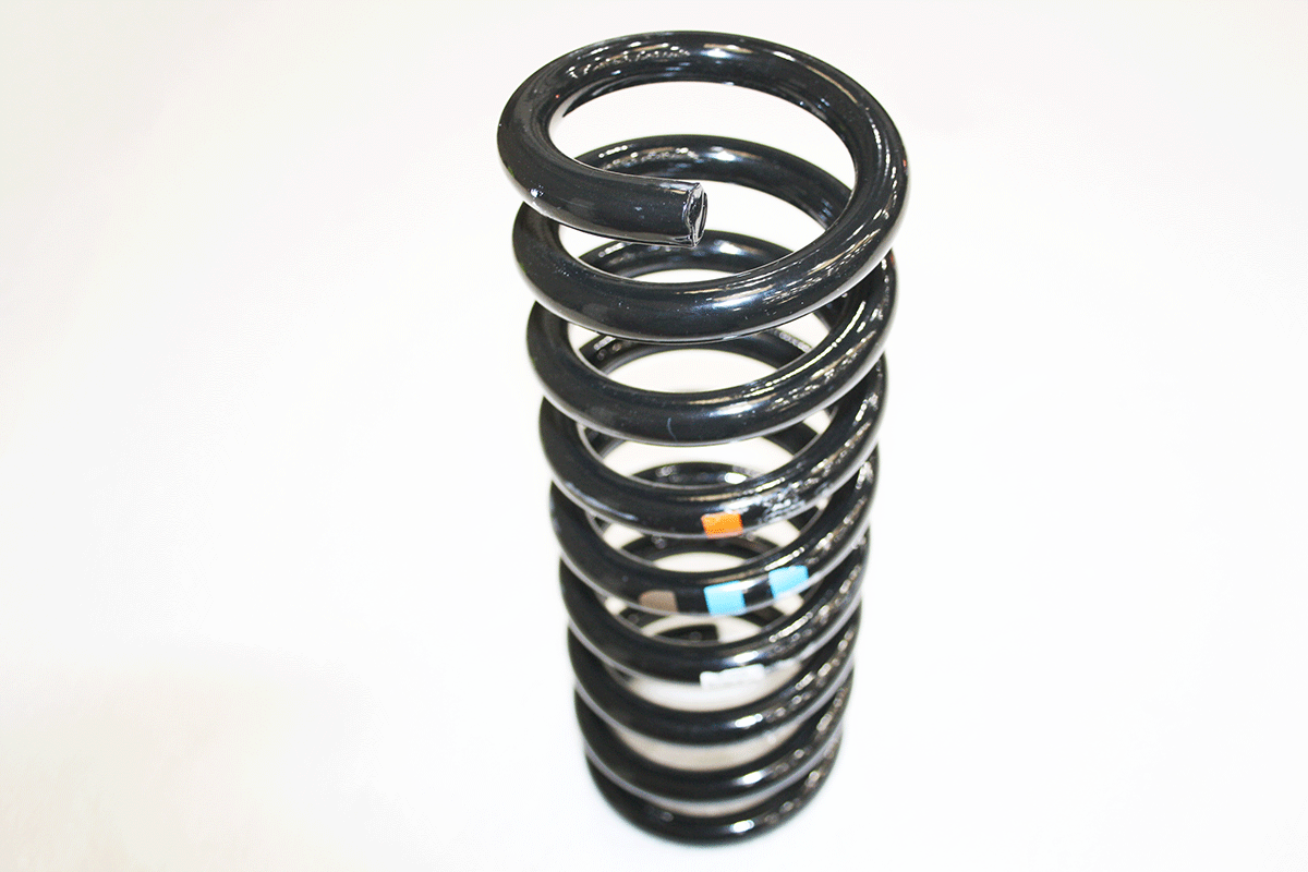 C2Z5524-G JAGUAR - ROAD SPRING