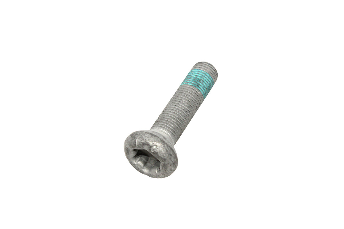 T4A16718 BOLT