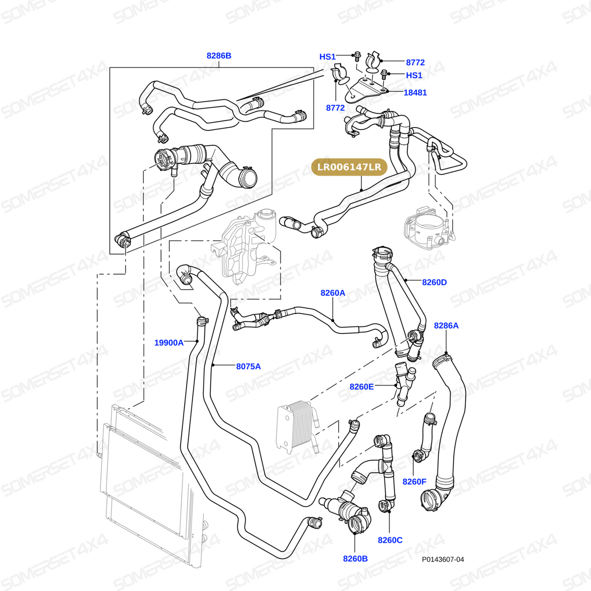 LR006147LR GENUINE LAND ROVER - HOSE - HEATER WATER