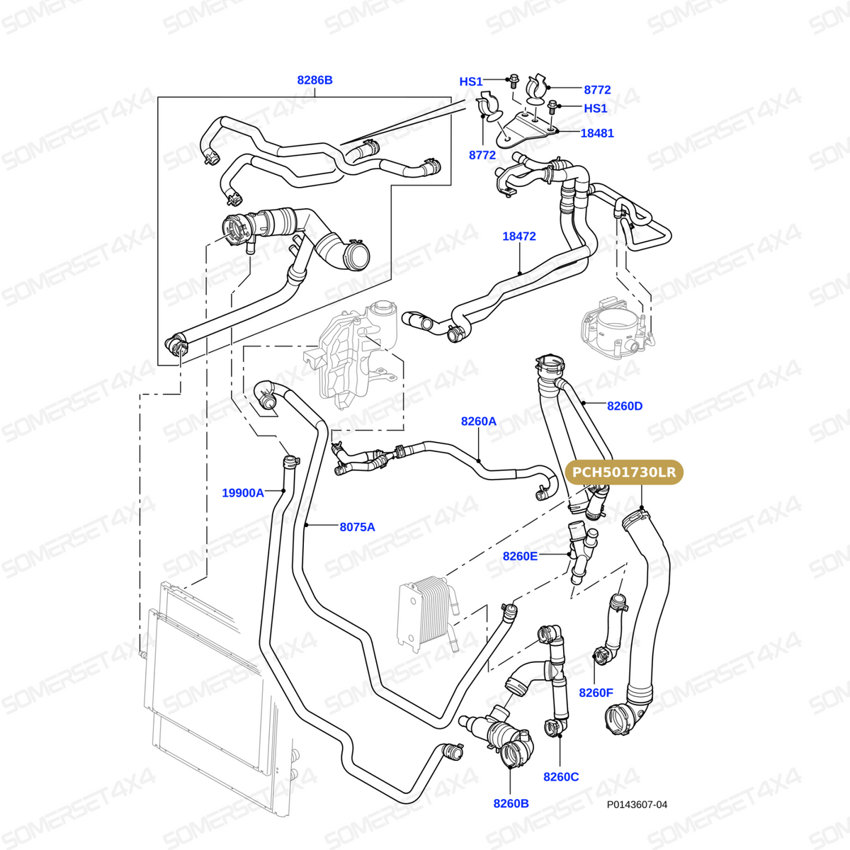 PCH501730LR GENUINE LAND ROVER - HOSE - RADIATOR