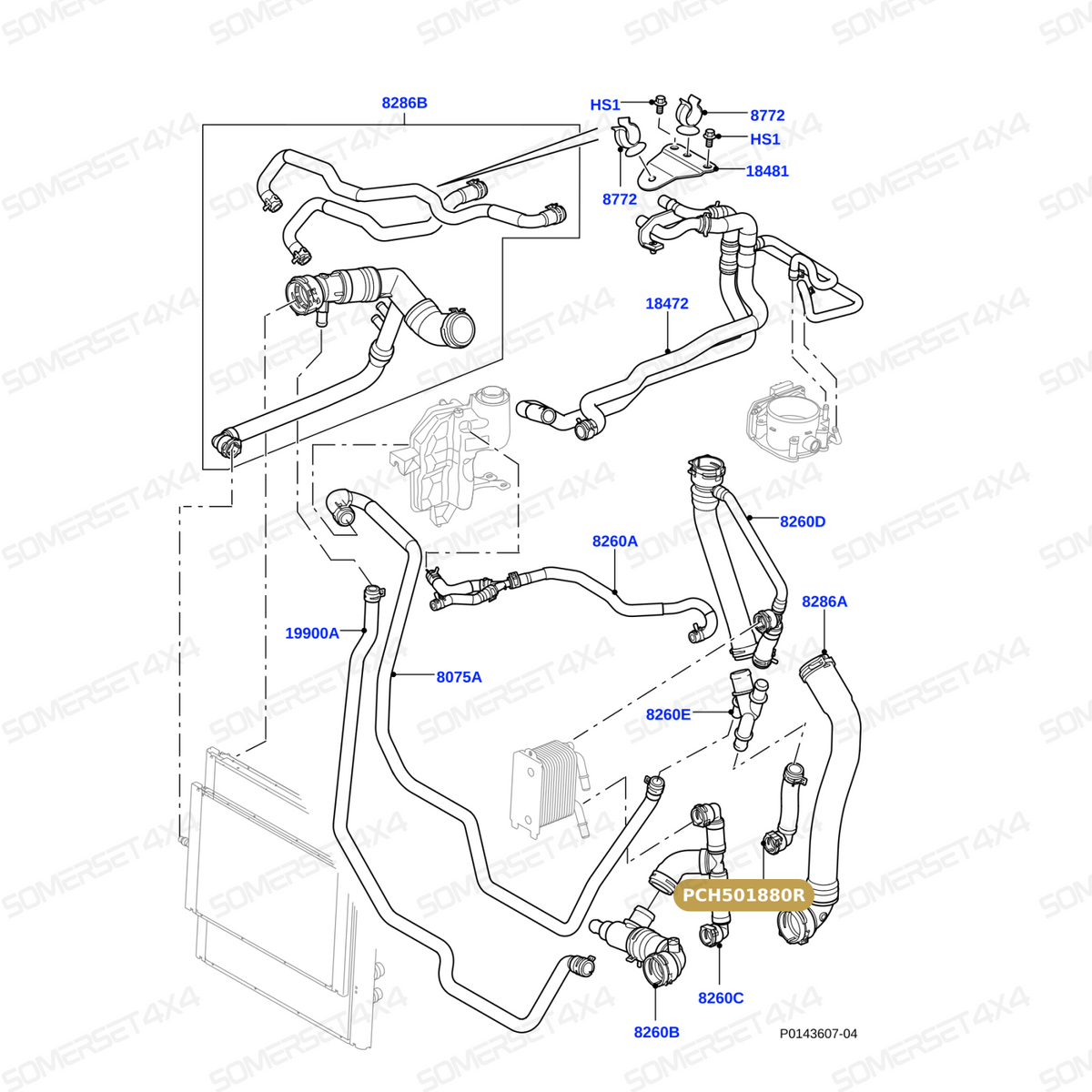 PCH501880LR GENUINE LAND ROVER - HOSE - RADIATOR