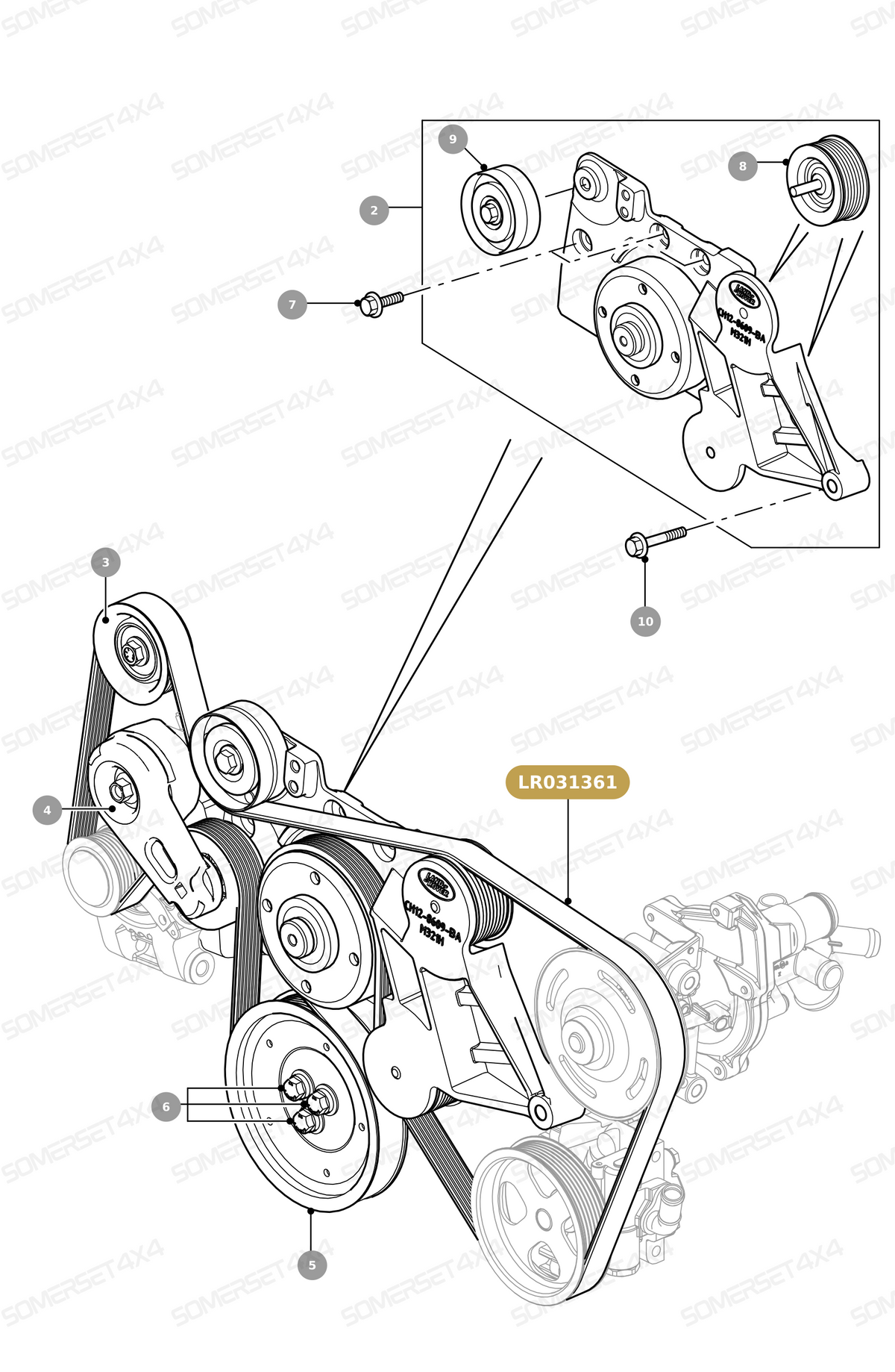 LR031361 LAND ROVER - V-BELT From BRITPART