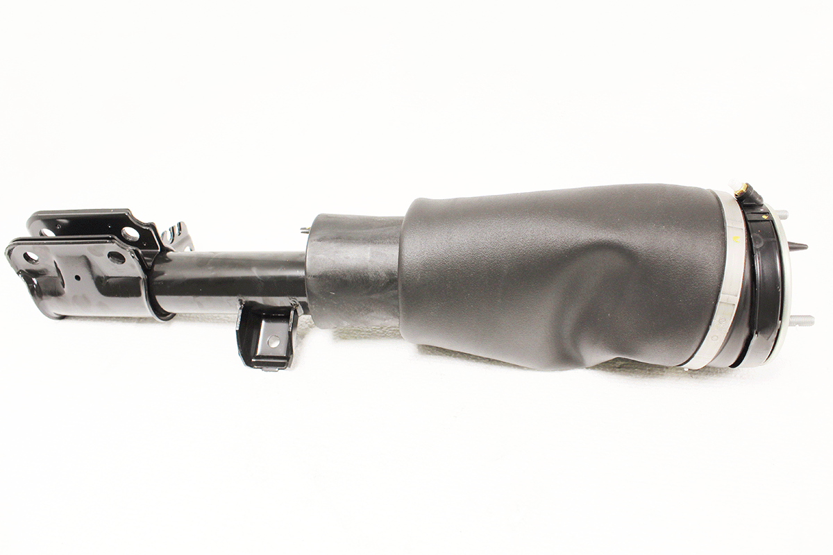 RNB000740W LAND ROVER - SHOCK ABSORBER AND AIR SPRING - RH From BWI
