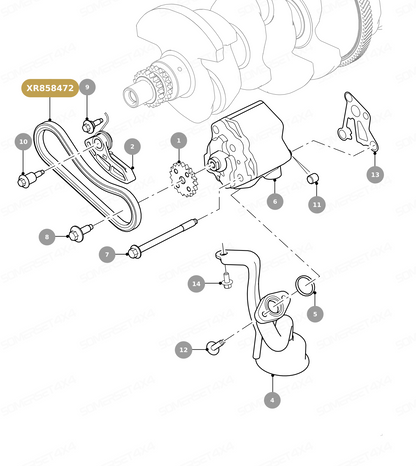 XR858472 GENUINE JAGUAR - CHAIN-OIL PUMP