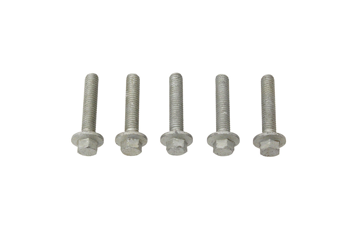 FS106307L SCREW FLANGED