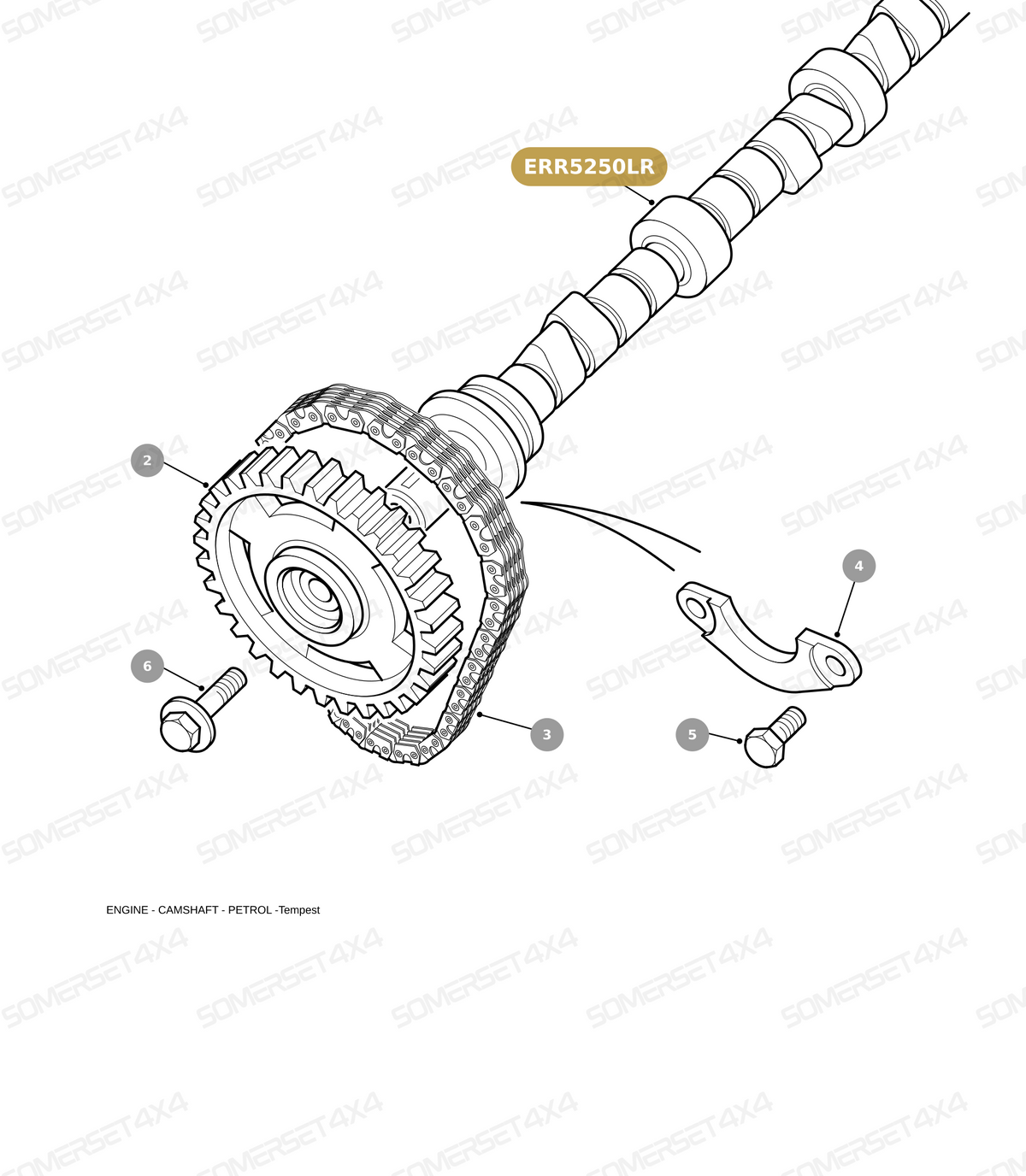 ERR5250LR GENUINE LAND ROVER - CAMSHAFT