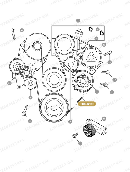 ERR6896R LAND ROVER - DRIVE BELT - POLYVEE From BRITPART