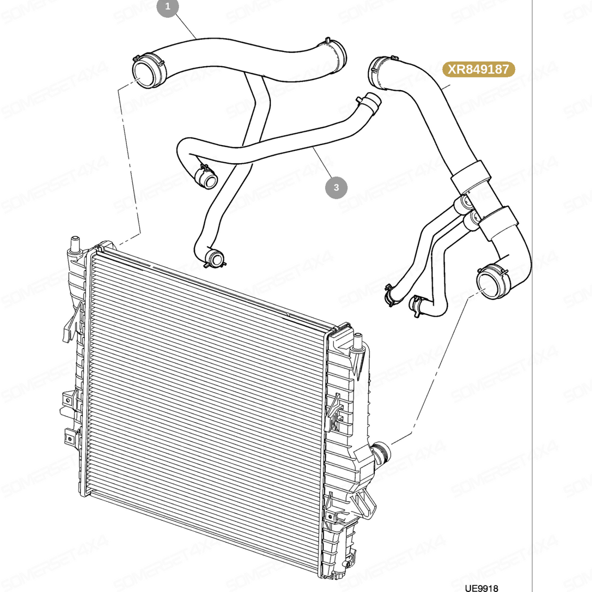 XR849187 GENUINE JAGUAR - HOSE-BOTTOM