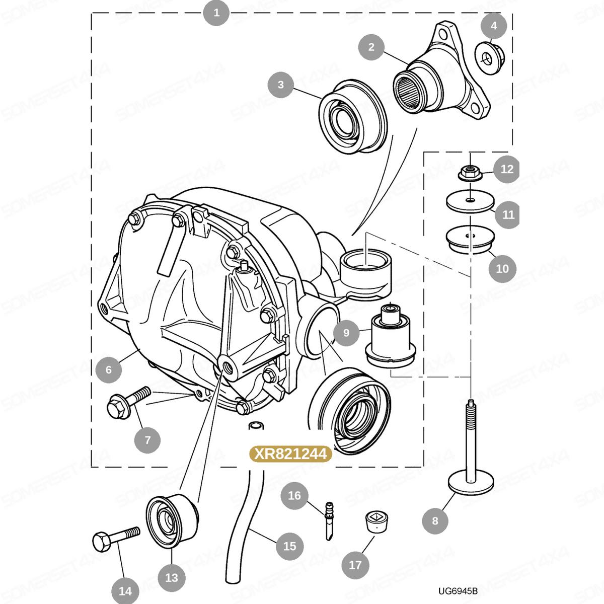 XR821244 GENUINE JAGUAR - SEAL-O/PUT SHAFT OIL