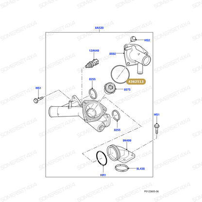4362513 LAND ROVER - SEALING RING-THERMOSTAT OUTLET 4.2 & 4.4 V8 From PR2 ALLMAKES OE