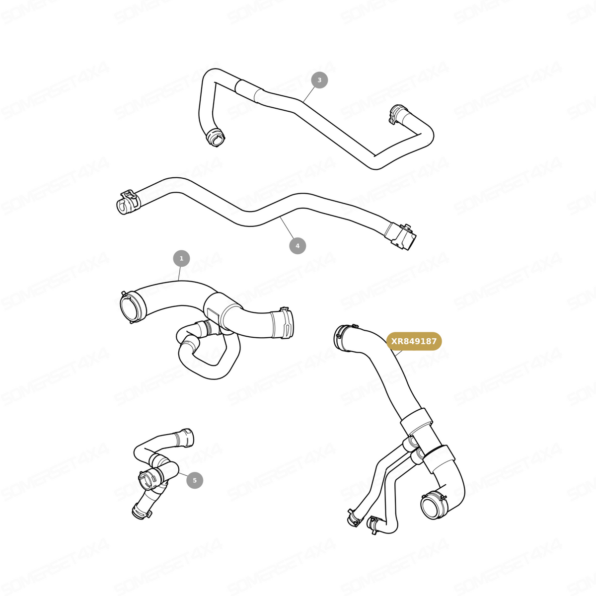 XR849187 GENUINE JAGUAR - HOSE-BOTTOM