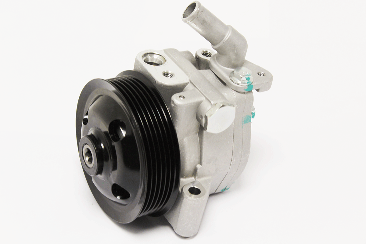C2C36768-R PAS PUMP