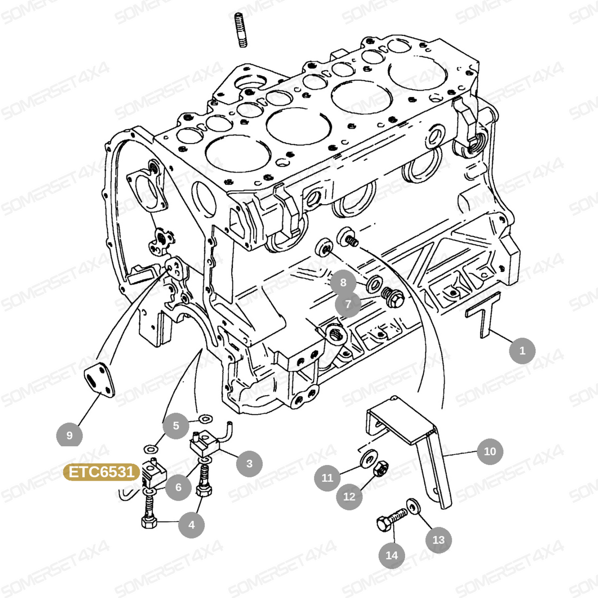 ETC6531 LAND ROVER - JET ASSY - DEF - D1 - RRC - 200TDI From ALLMAKES