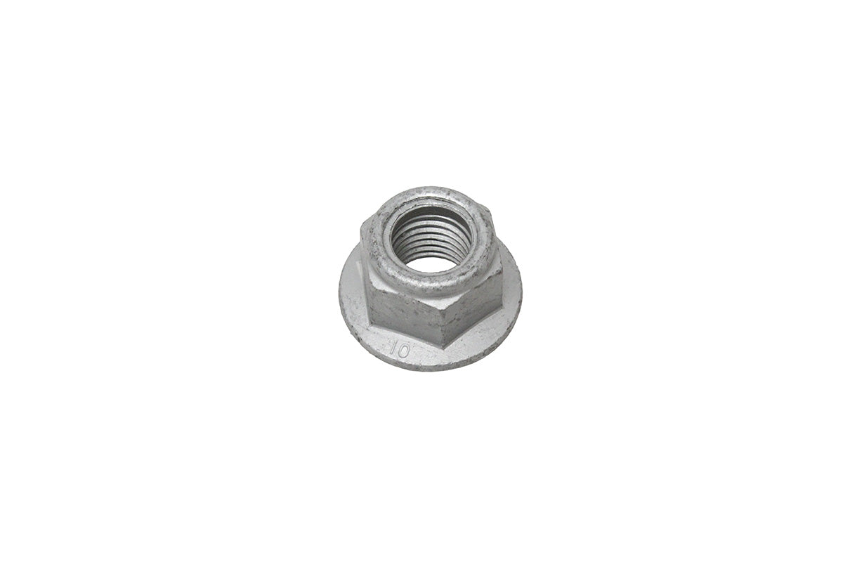 FY116056 NUT