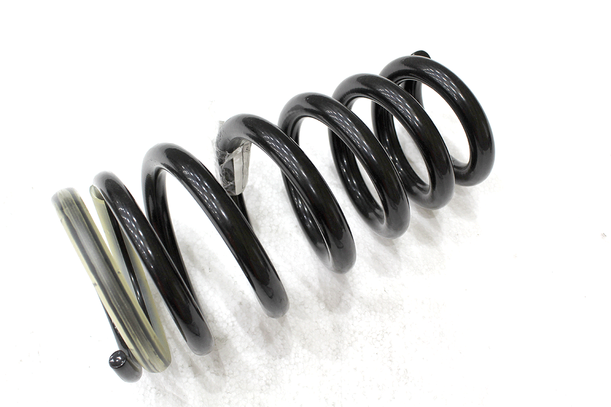 T2R8747-G JAGUAR - ROAD SPRING