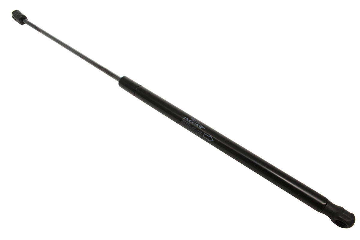 C2D3661 STRUT