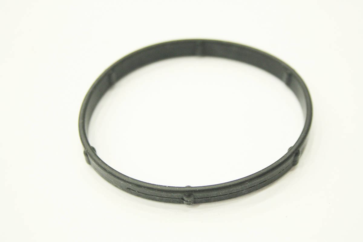 NCA2269CA-R JAGUAR - THERMOSTAT SEAL