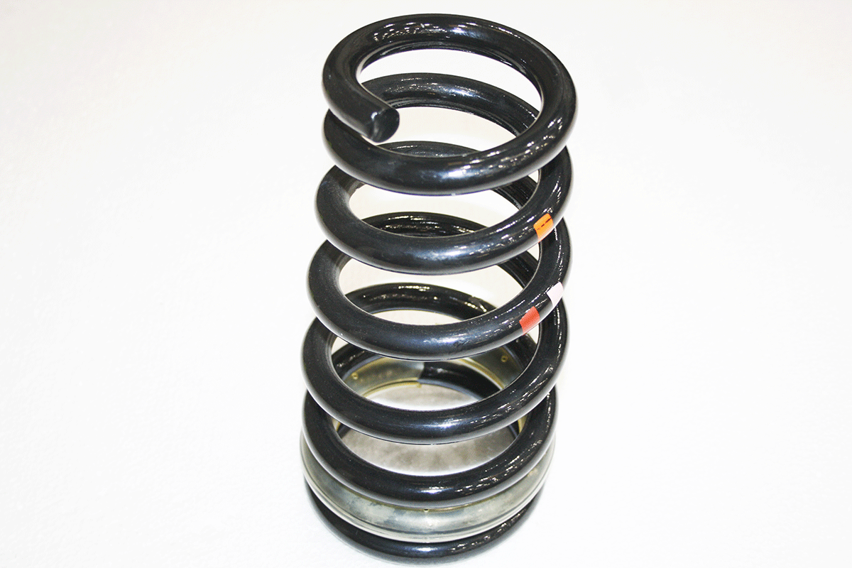 T2R13312-G JAGUAR - ROAD SPRING