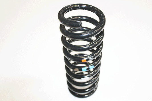 C2Z5524-G JAGUAR - ROAD SPRING