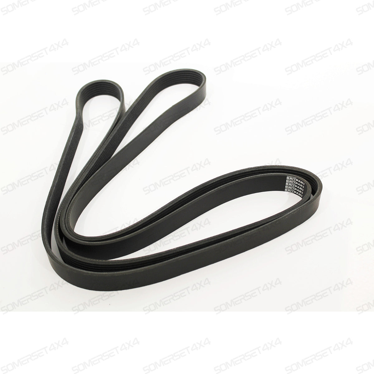 ERR6896R LAND ROVER - DRIVE BELT - POLYVEE From BRITPART