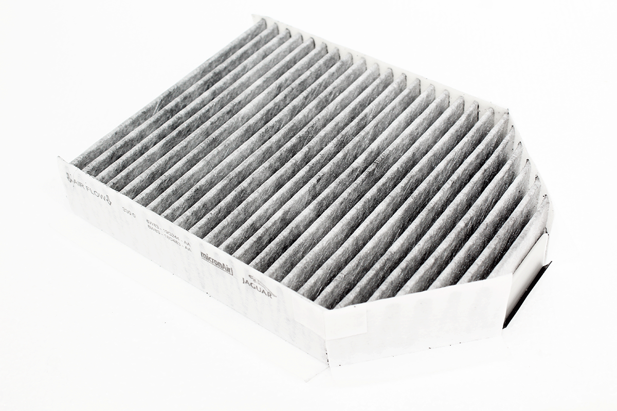 C2P2410 JAGUAR - FILTER-AIR PARTICLE