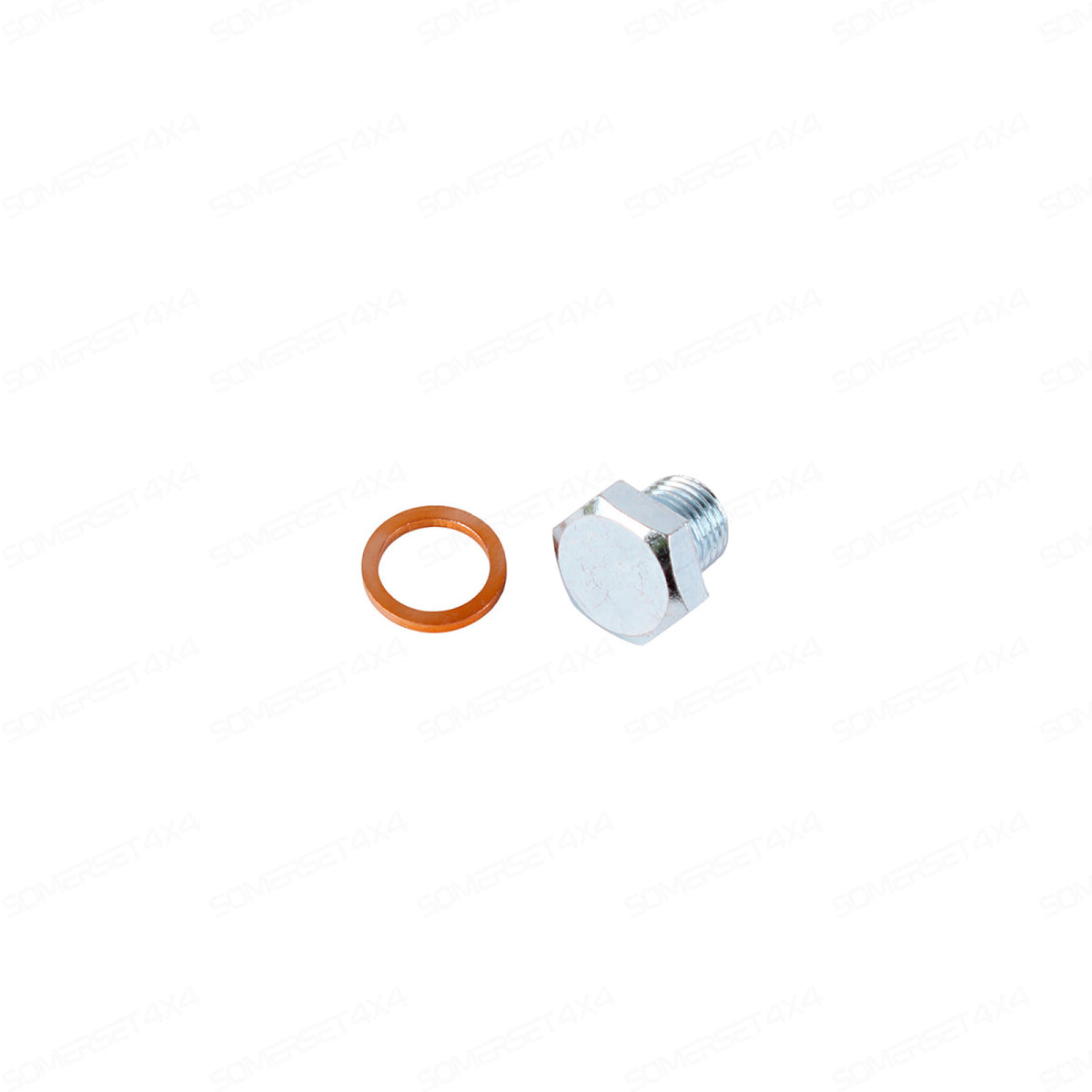 UAM2957LG PLUG OIL SUMP From CORTECO