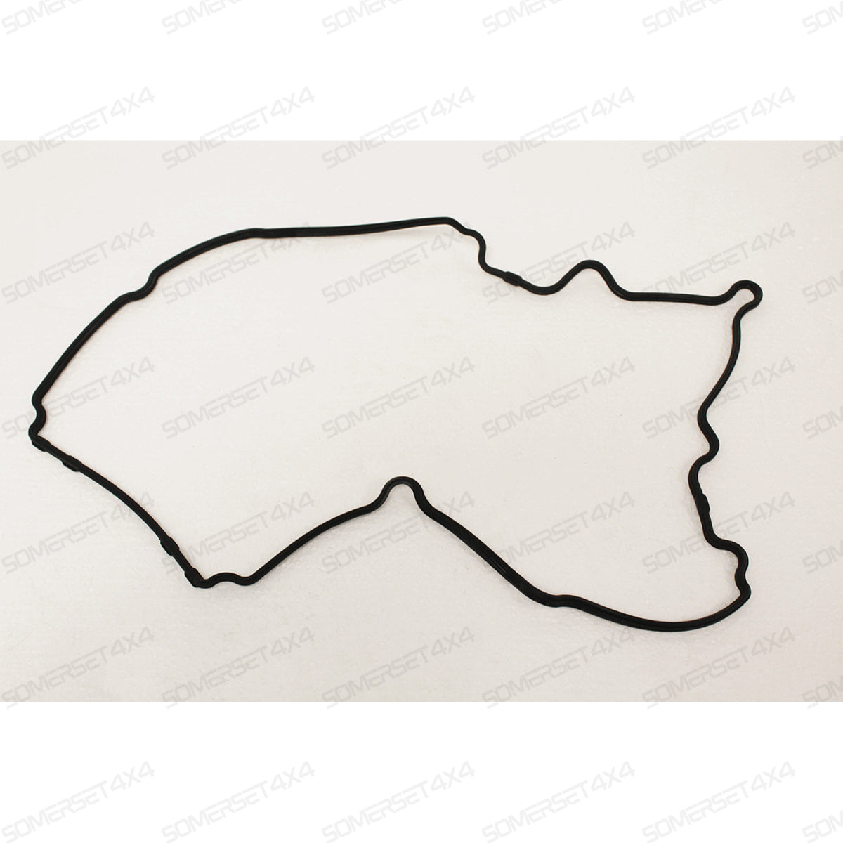 XR816232-G JAGUAR - CAM COVER GASKET From REINZ