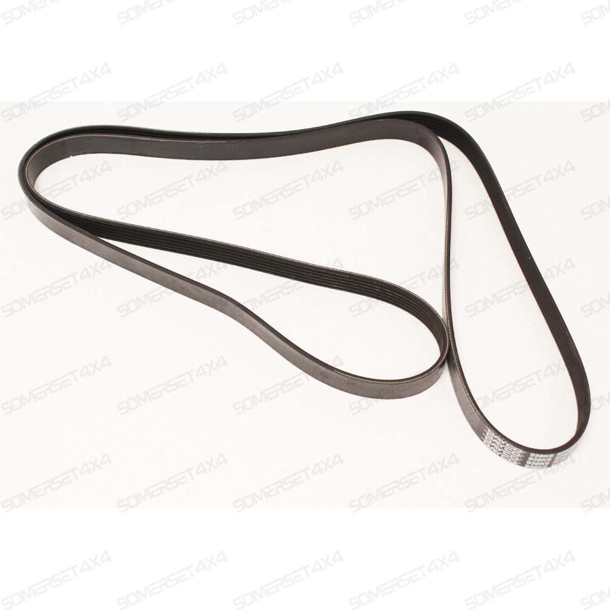 XR830447-G JAGUAR - BELT-DRIVE From DAYCO