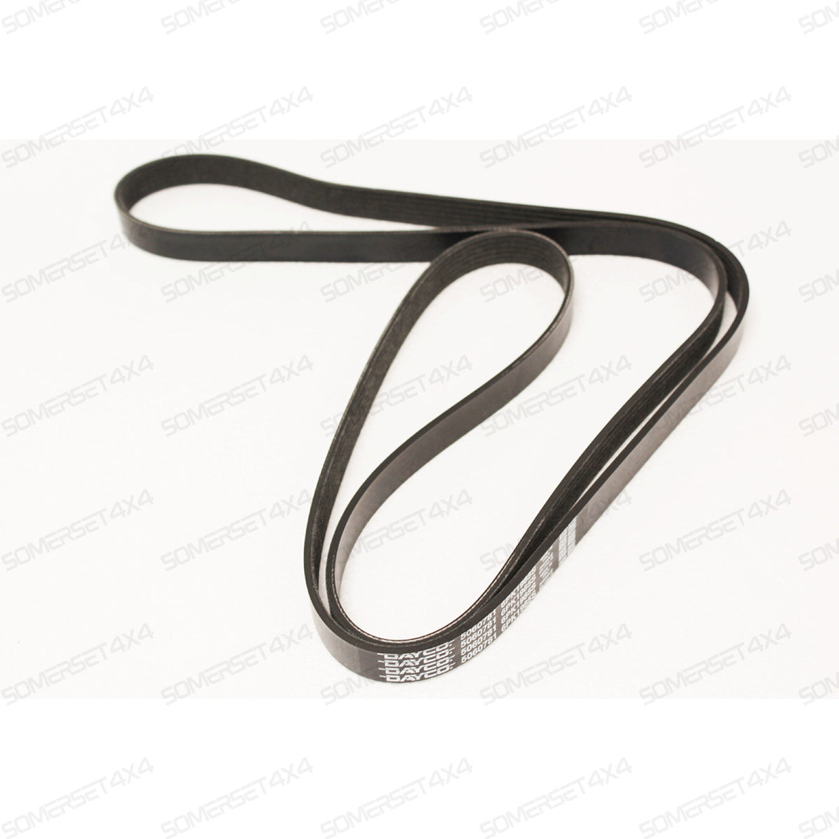 XR844334-G JAGUAR - BELT-DRIVE From DAYCO